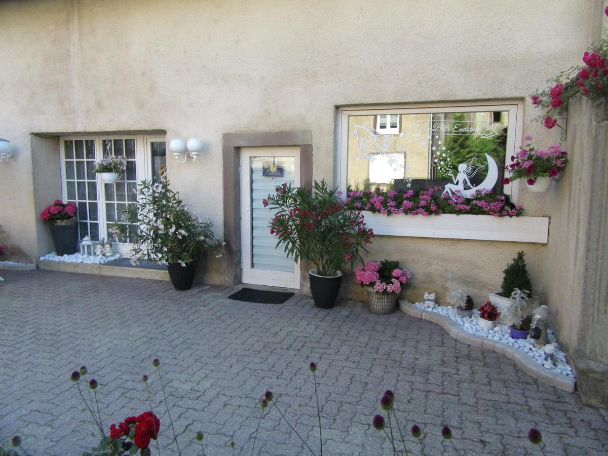 La Belle Endormie - Appartement A Fenetrange Luaran gambar